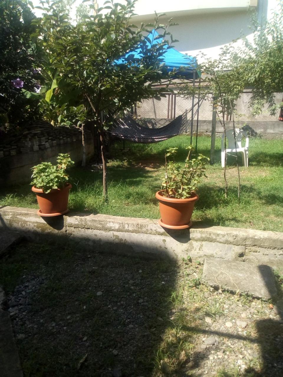 Kobuleti Egro House Hotel Екстериор снимка